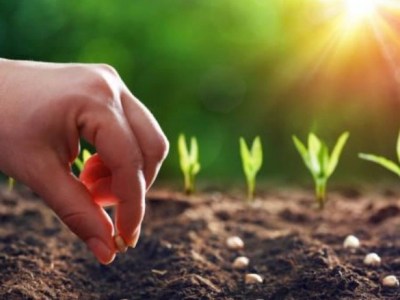 Don’t despise small&nbsp;beginnings.