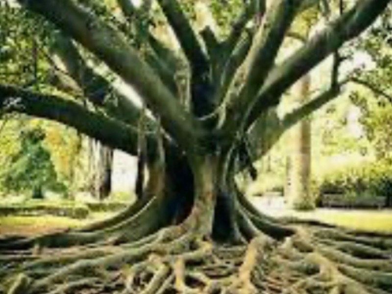 Growing…More and More